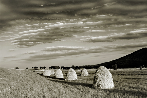 haystacks 02